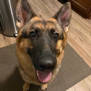 Meet your Posher, Claudia